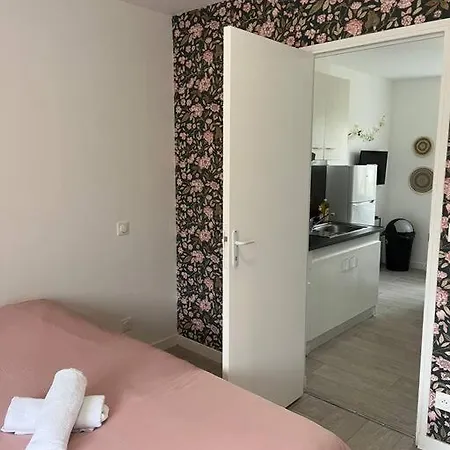 Le Flowers 30m² 4 Personnes * فيلنوف داسك