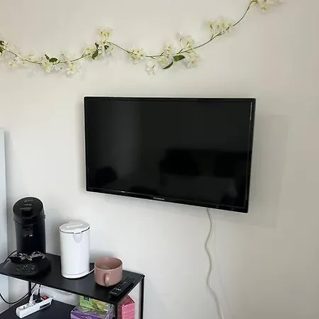 Le Flowers 30m² 4 Personnes فيلنوف داسك