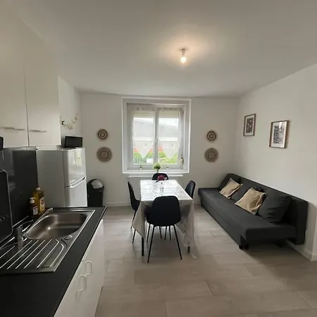 Le Flowers 30m² 4 Personnes فيلنوف داسك