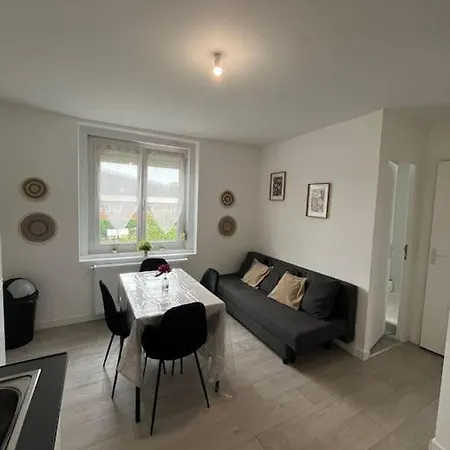 شقة Le Flowers 30m² 4 Personnes فيلنوف داسك